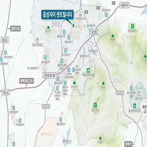 음성 금왕읍 지도